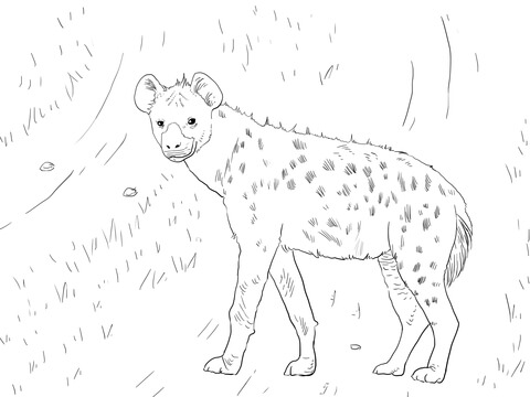 African Spotted Hyena Coloring Page